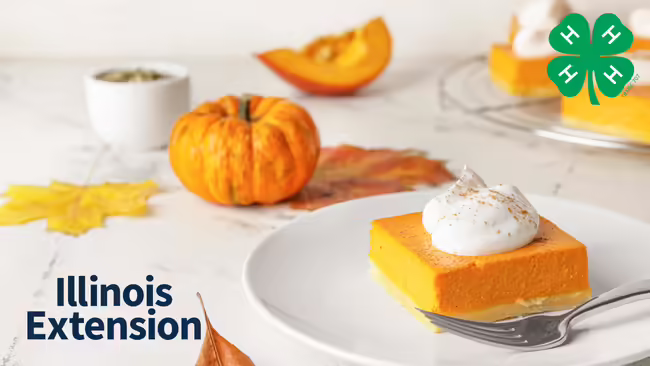 a slice of pumpkin bar with whipped cream 