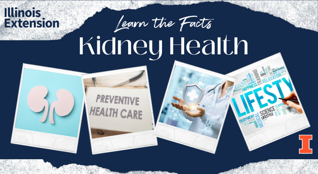 Learn the Facts Kidney Health. Pictures on a scrap book of kidneys, preventative care, physician and lifestyle wordle. University of Illinois Logo and Block I.