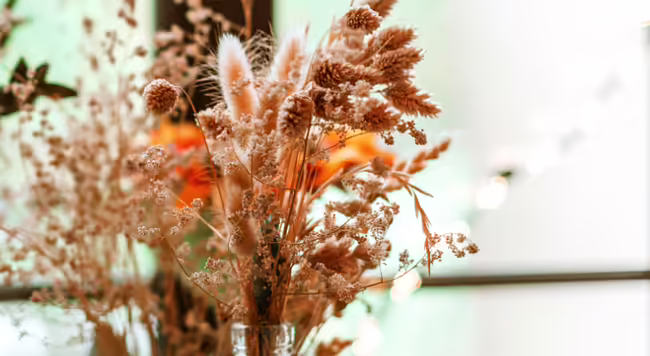 Dried flowers in vase