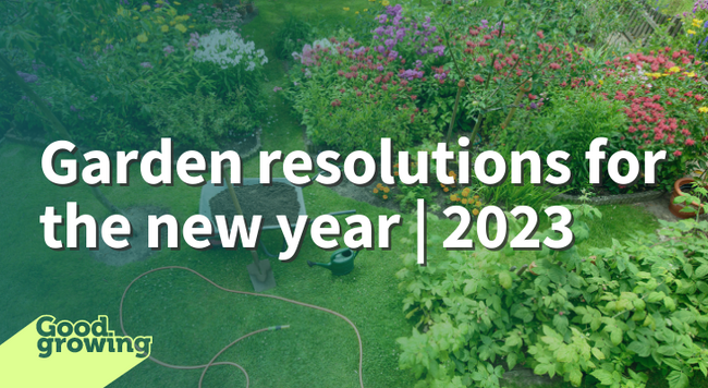 Garden resolutions for the new year | 2023. Garden with purple, red, pink, and white blooming plants and a wheelbarrow, shovel, and hose.
