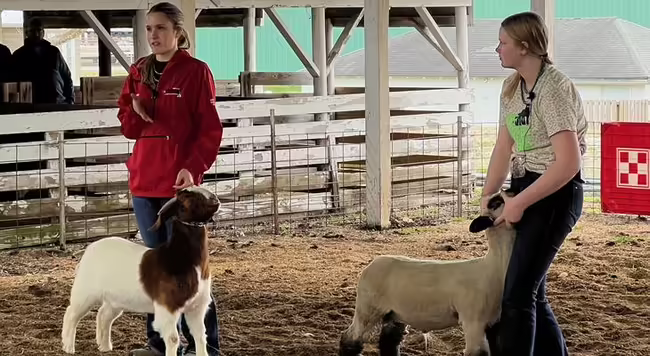 two girls show a sheep and goat