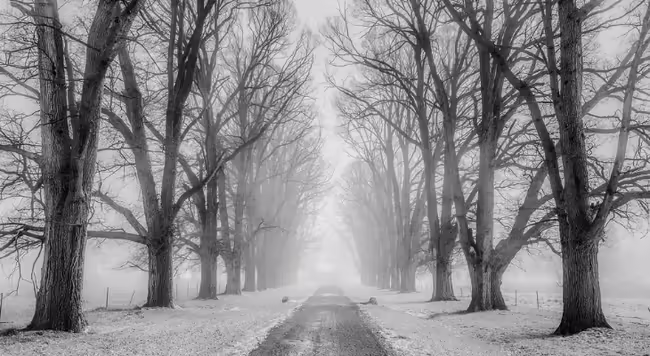 winter