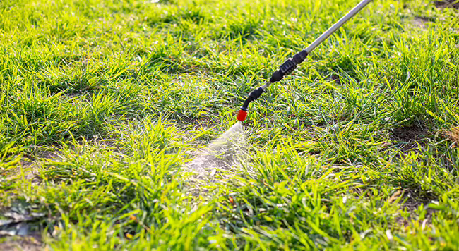 lawn being sprayed with a pesticide