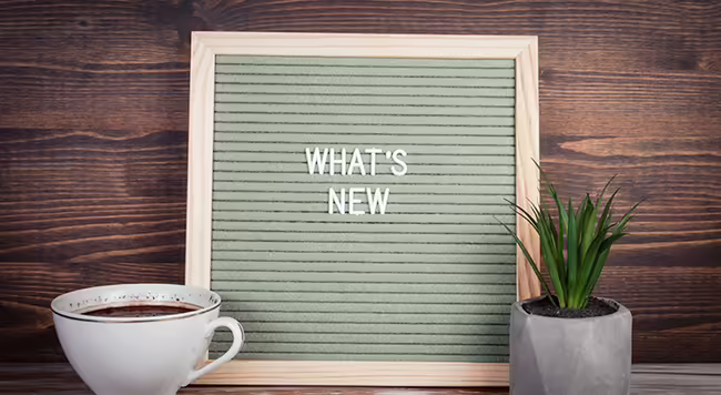 text on board says what's new by a coffee cup and plant
