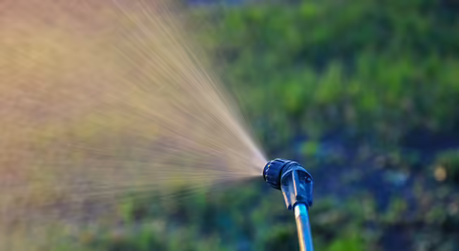 Spray nozzle pattern