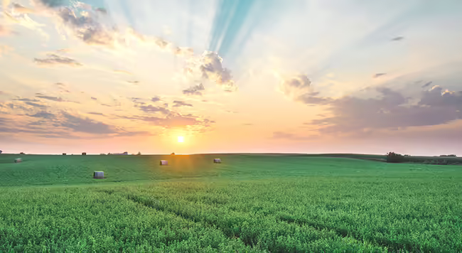 A hay field with bales and the sun setting in the background. 