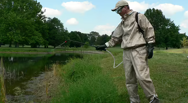 Pesticide application made to an aquatic area
