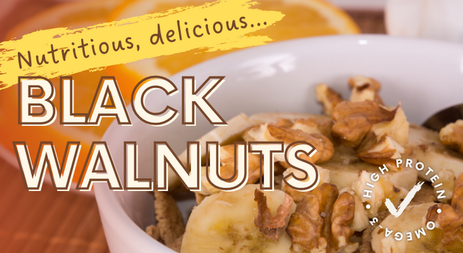 Nutritious, delicious black walnuts