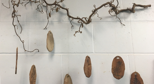 tree cookies hanging from woody vine