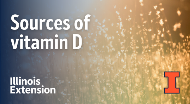 Text says "sources of vitamin D" with image of sun shining in a field 