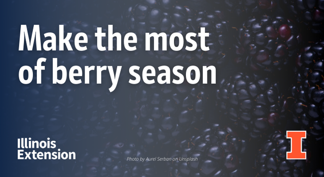 Text says "make the most of berry season" with a picture of a dozen blackberries in the background.