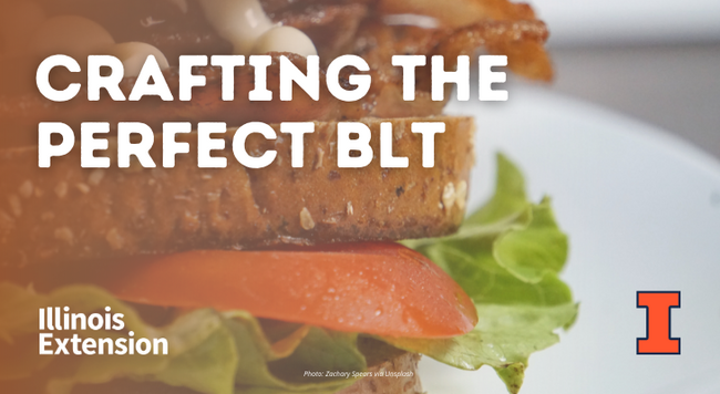 A side view of a BLT sandwich with bread, mayonnaise, bacon, tomato, and lettuce. Text says 'crafting the perfect BLT'