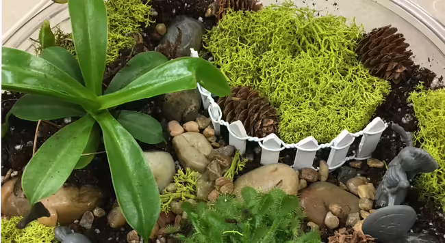 terrarium with roman soldier - photo by Brittnay Haag
