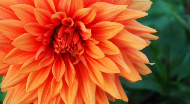 Photo by Nick Windsor via Unsplash