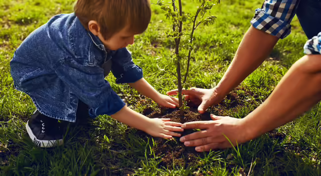 child planting tree in lawn area with older adult guiding the childl