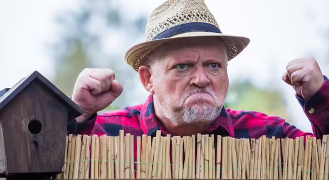 A man wearing a cap stands grimly behind a fence, glaring angrily at the neighbors.