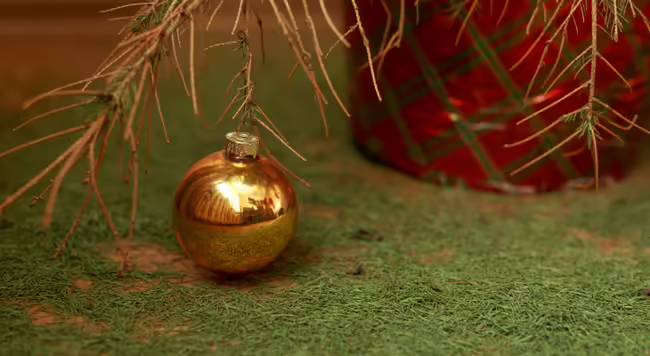 A golden Christmas ball on a dry branch of a Christmas tree without needles.