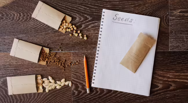 three packets of different seeds spilling out on a wooden table with a notebook to record the seeds