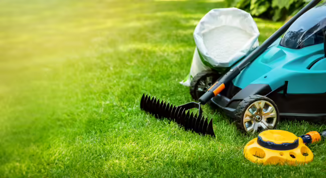 a bright green lawn with a lawn mower, rake, sprinkler head, and bag of fertilizer 