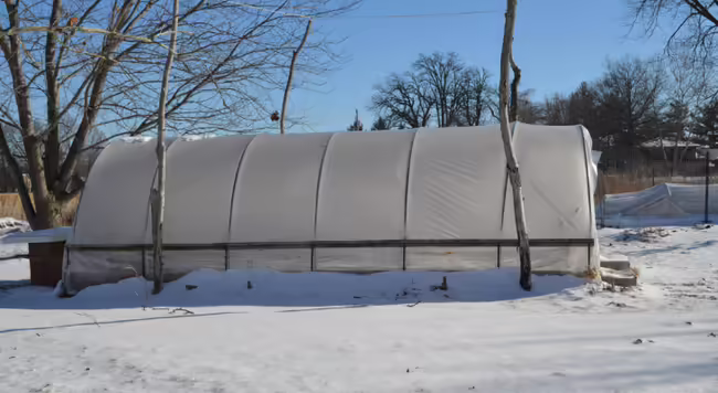 a high tunnel in a snowy winter setting