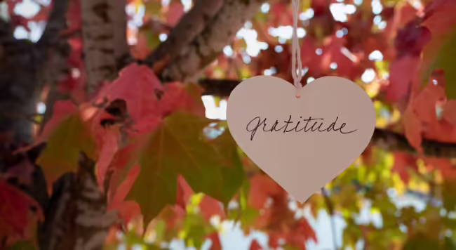 A tree with golden leaves and a heart with the word gratitude hanging from a branch
