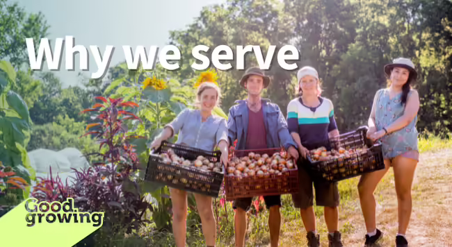 Volunteers holding crates of harvested onions