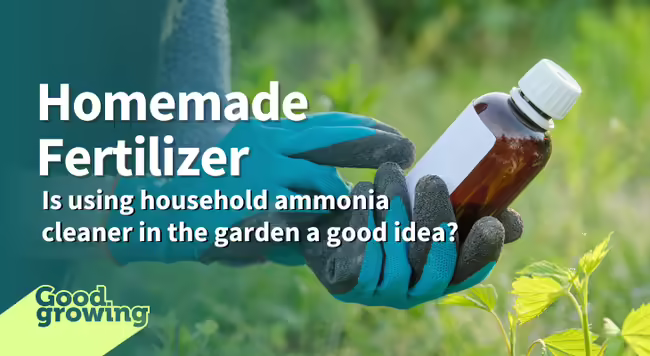garden gloves holding chemical jar
