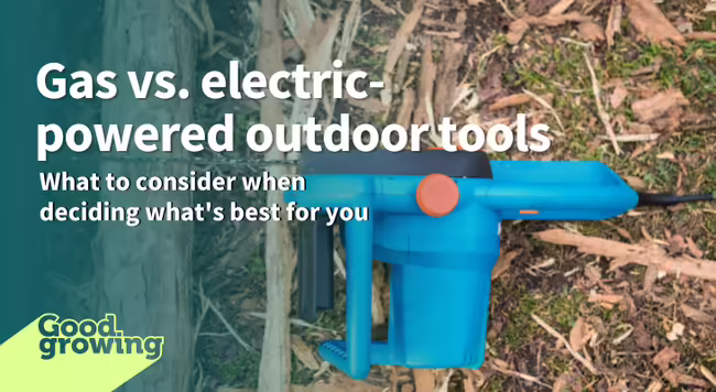 corded electric chainsaw