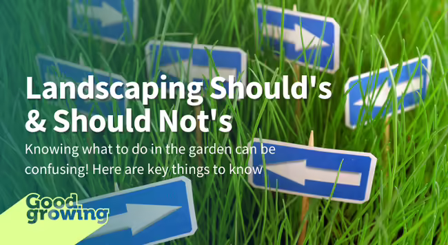 arrows pointing every which way in the lawn