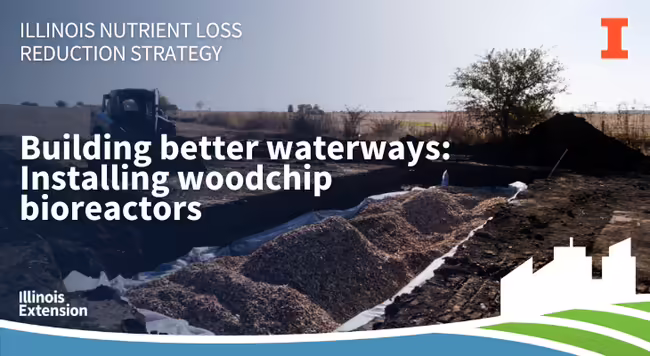 Woodchip bioreactor