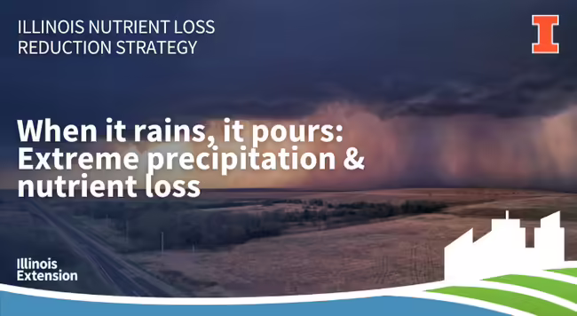 Rain falling on agricultural fields