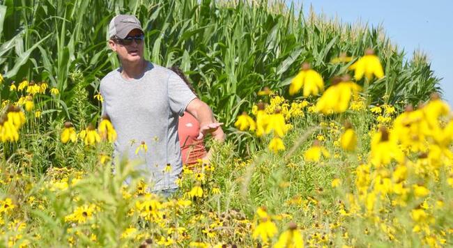 Farmer walking in a field