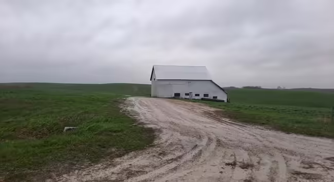 A muddy dirt road runs between two farm fields leading to an old abandoned hog house.