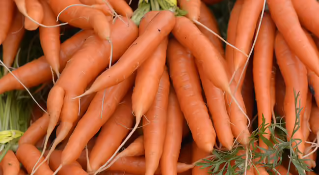 a bunch of carrots on a farmers market table