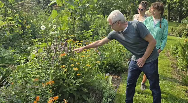 Several people looking at plants