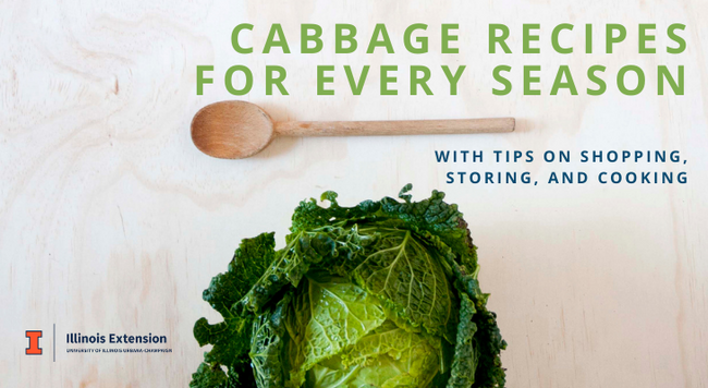 Every Season Recipes for Cabbage