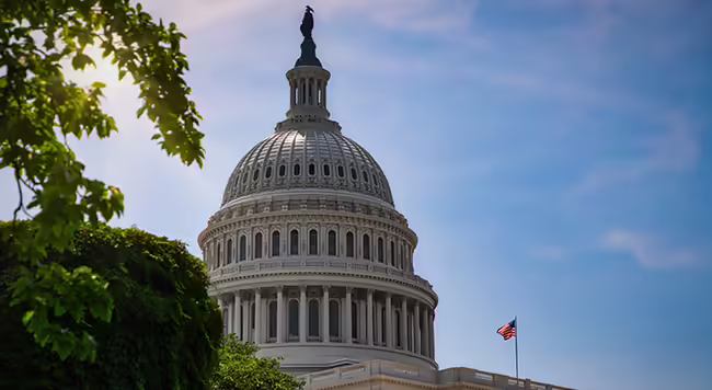 The U.S. Capitol building dome.