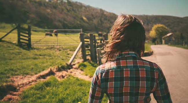 A person standing to think while staring at a far off herd of cattle in a pasture.
