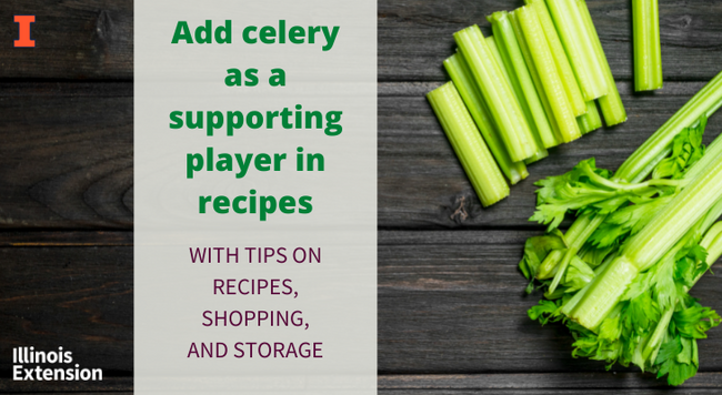 Add celery as a supporting player in recipes. With tips on recipes, shopping, and storage. Dark wood background with whole head of celery off to the right and cut celery above whole head.