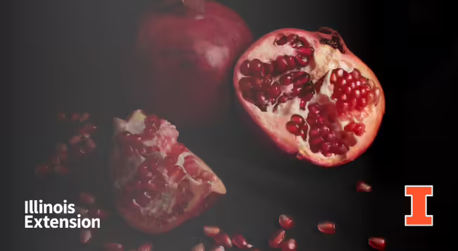 Pomegranate split open, with a few seeds on the table