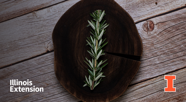 A sprig of rosemary set on a round dark wood slice on top of a wooden table. Contains orange I block logo and Illinois Extension wordmark.