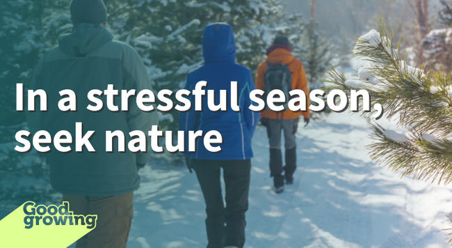 In a stressful season, seek nature three adults walking away in a line on a snow covered trail in a evergreen woods