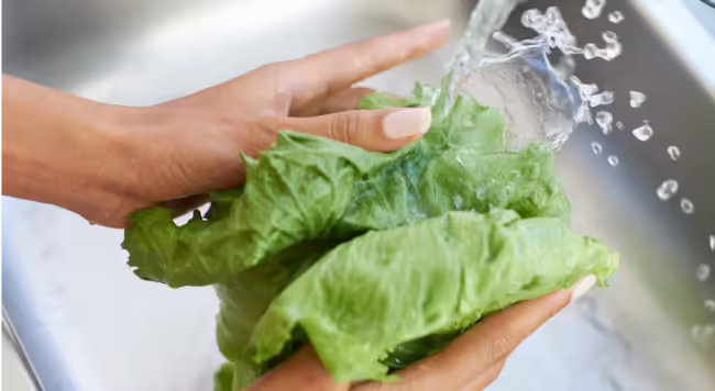 lettuce being washed by hand