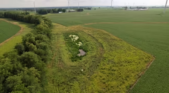 Constructed wetland in Bureau County, IL