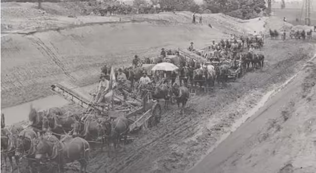 Historical black & white photo depicts large muddy farm field being dredged with equipment, many horses and people.