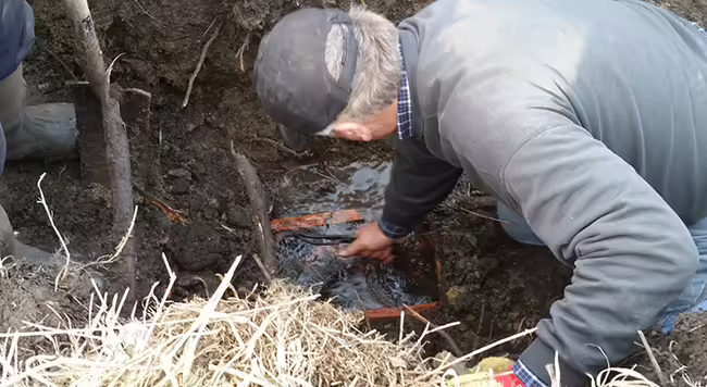 A farmer in cap and coveralls is bent over looking at a broken tile and water.