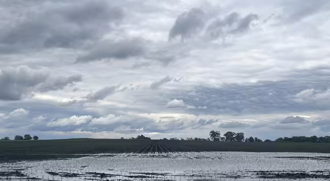 A flooded farm field with dark looming clouds overhead.