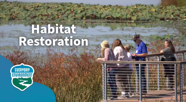 habitat restoration