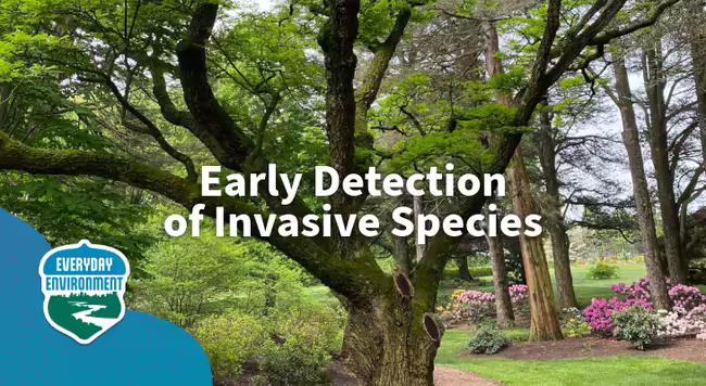 early detection of invasive species