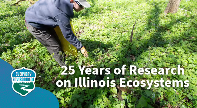 25 years of research on illinois ecosystems